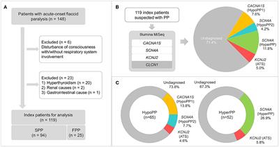 Gene panel analysis of 119 index patients with suspected periodic paralysis in Japan